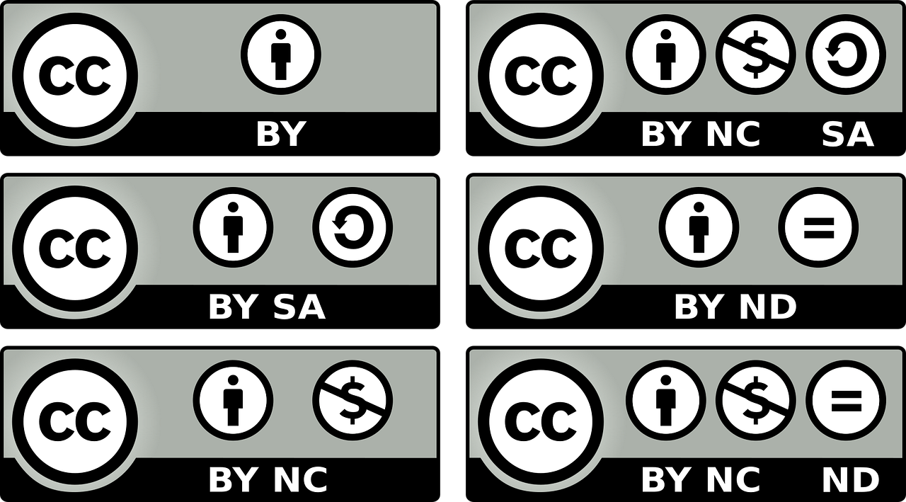 comment choisir entre la création d'une sarl et d'une sas en 2025 découvrez les différences clés entre sarl et sas pour choisir la forme juridique la mieux adaptée à votre projet d'entreprise en france.