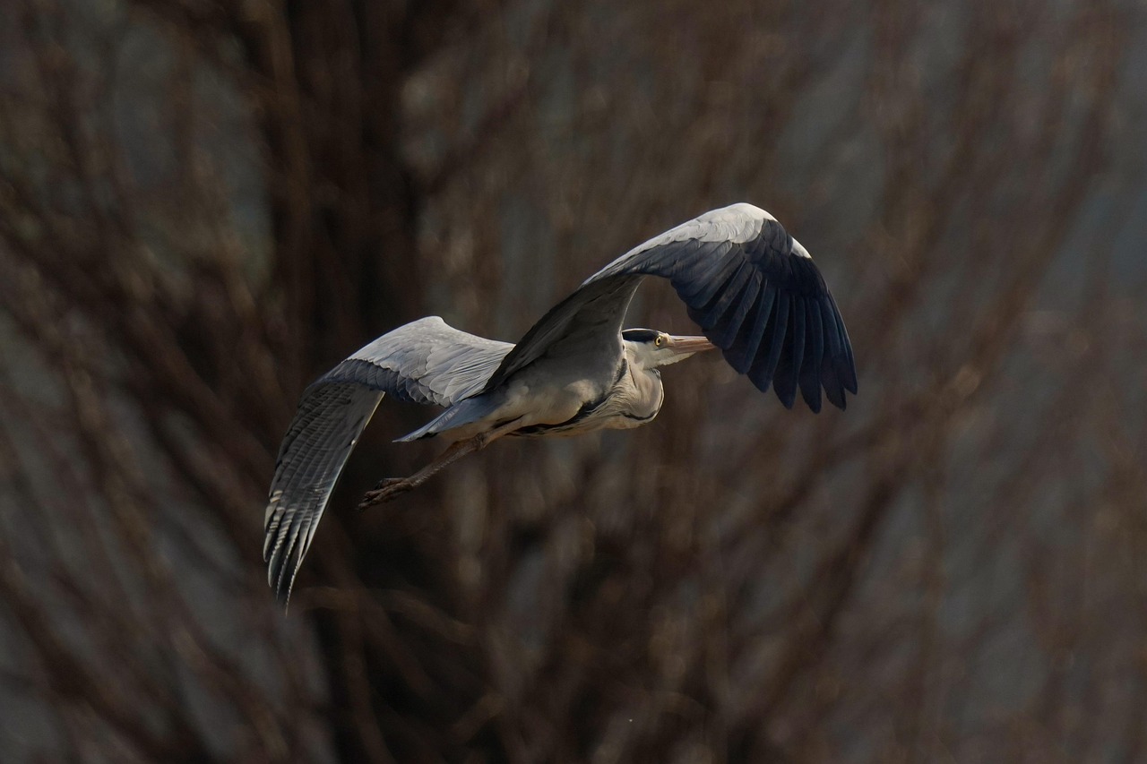 Les erreurs les plus courantes des nouveaux entrepreneurs découvrez les erreurs courantes que commettent les nouveaux entrepreneurs et apprenez comment les éviter pour garantir le succès de votre entreprise.